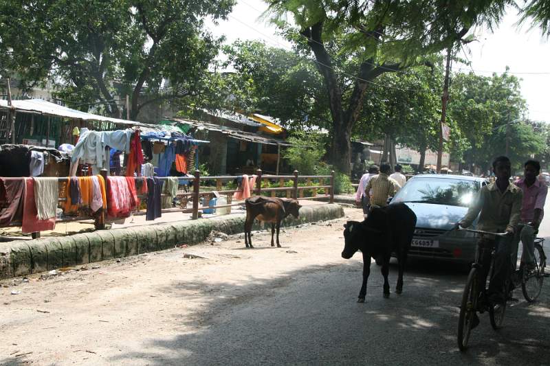 India & Nepal 2011 - 0723